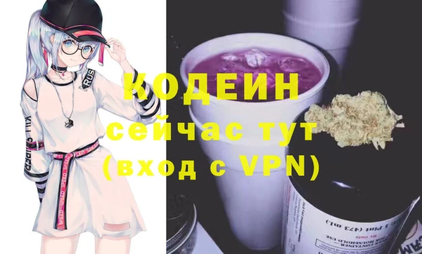ECSTASY Бородино