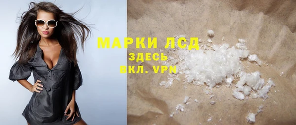 ECSTASY Бородино