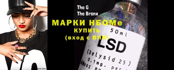 ECSTASY Бородино
