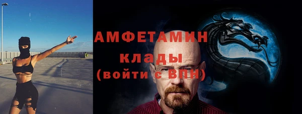 ECSTASY Бородино