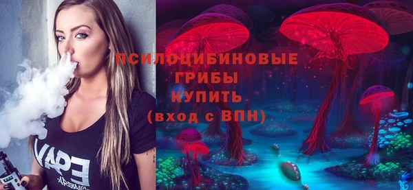 ECSTASY Бородино