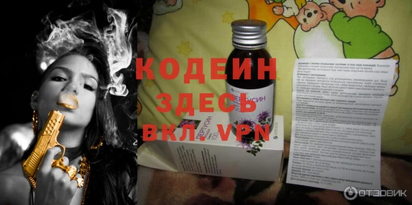ECSTASY Бородино